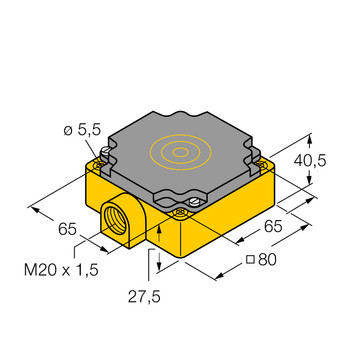 NI40-CP80-Y1/S100 - 10404