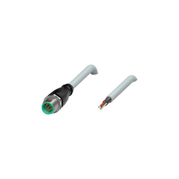 V19S-G-2M-PUR-ABG - 242917