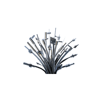 FEF-PLT1 - 453617