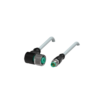 V1-W-6M-PUR-V31-GM - 240796-100006