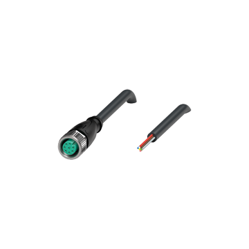 V19-G-BK10M-PUR-U - 456505