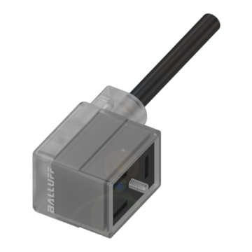 BCC VB43-0000-10-055-PX0350-100 - BCC03YN
