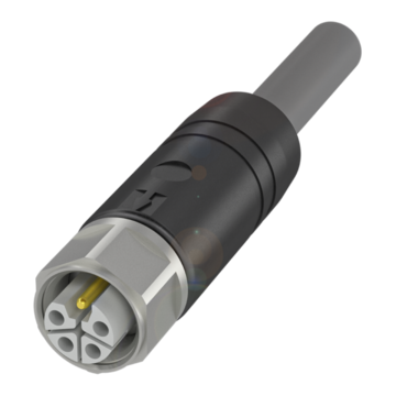 BCC S415-0000-1L-150-PX85A5-050 - BCC0LKN
