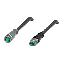 V31-GM-A2-BK0,6M-PUR-U-V31-GM - 240818-0005