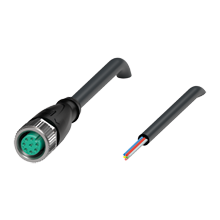 V19-G-BK1M-PVC-U-YSTE2 - 70162398