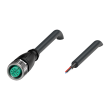 V15-G-BK5M-PUR-O2/CAN - 285831
