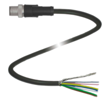 V19SY-G-BK10M-PUR-ABG - 274324