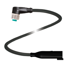 V1-W-BK0,6M-PUR-O1-DT4P-G