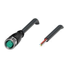 V19-G-BK3M-PUR-U - 239998-100031