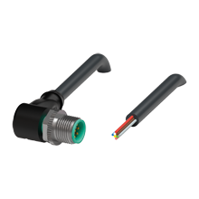 V19S-W-BK5M-PUR-U - 240772-100021