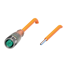 V1-G-E8W-OR10M-POC - 233454