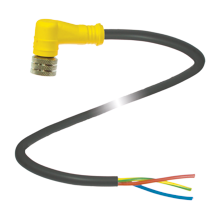 V13-W-5M-PUR - 021728