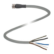 V31-GM-20M-PUR-ABG - 240803-0006